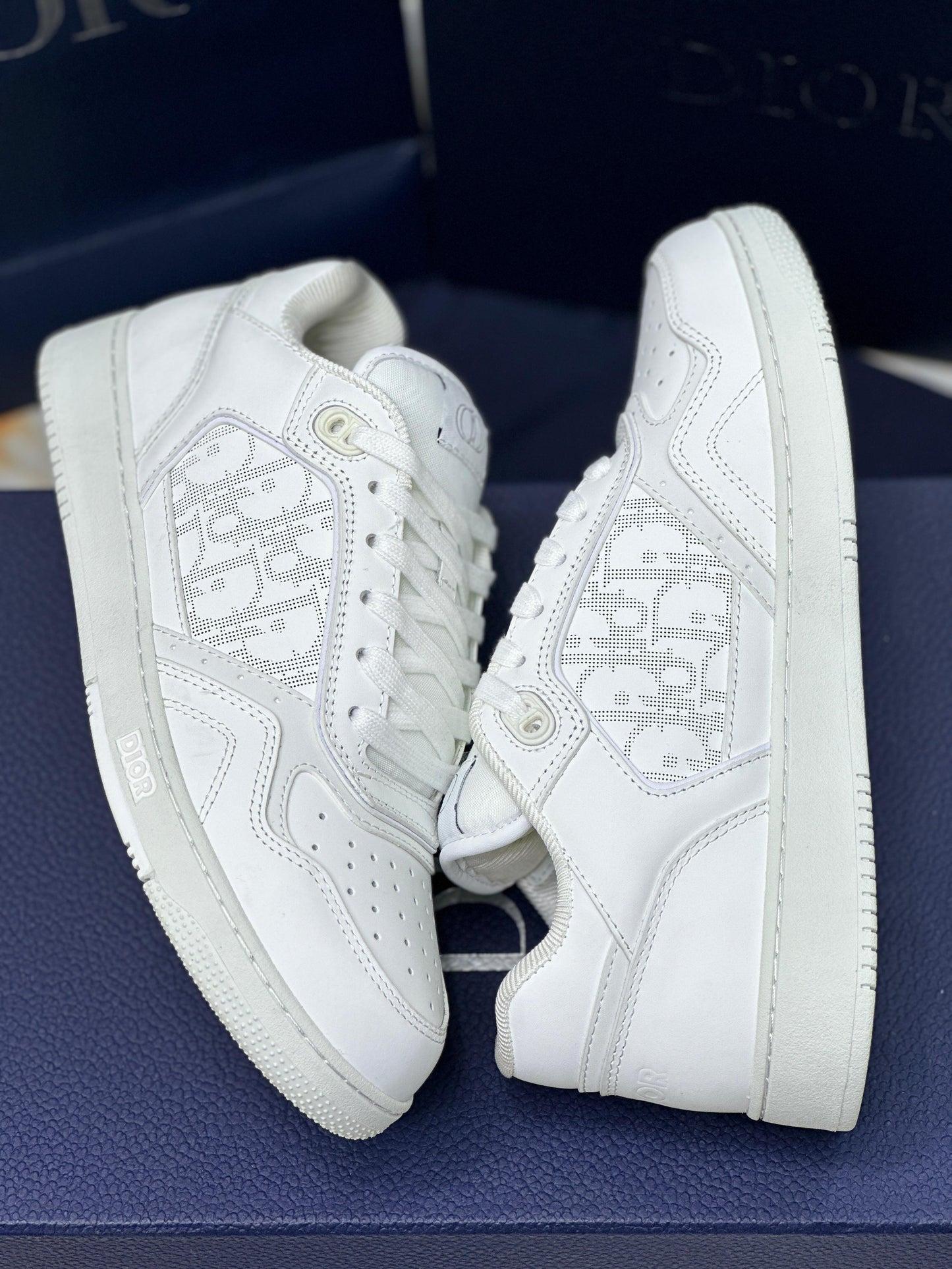DIOR B27 Shoes