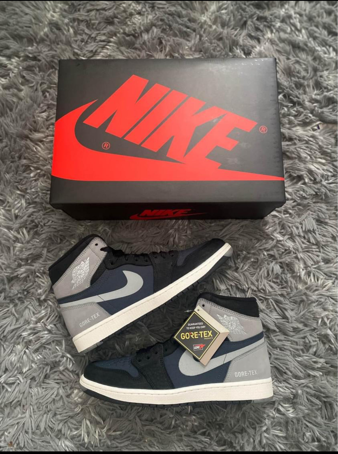 Jordan 1 high “Element”Gore-Tex