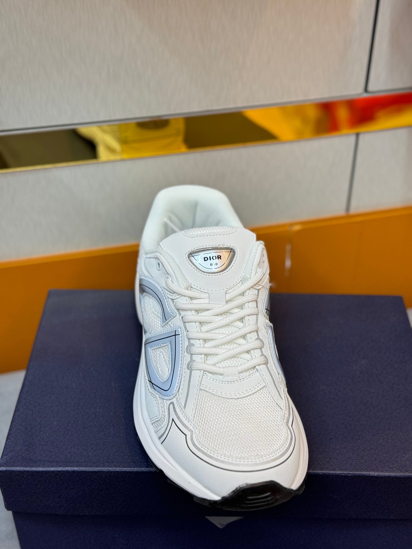 DIOR B30 Shoes