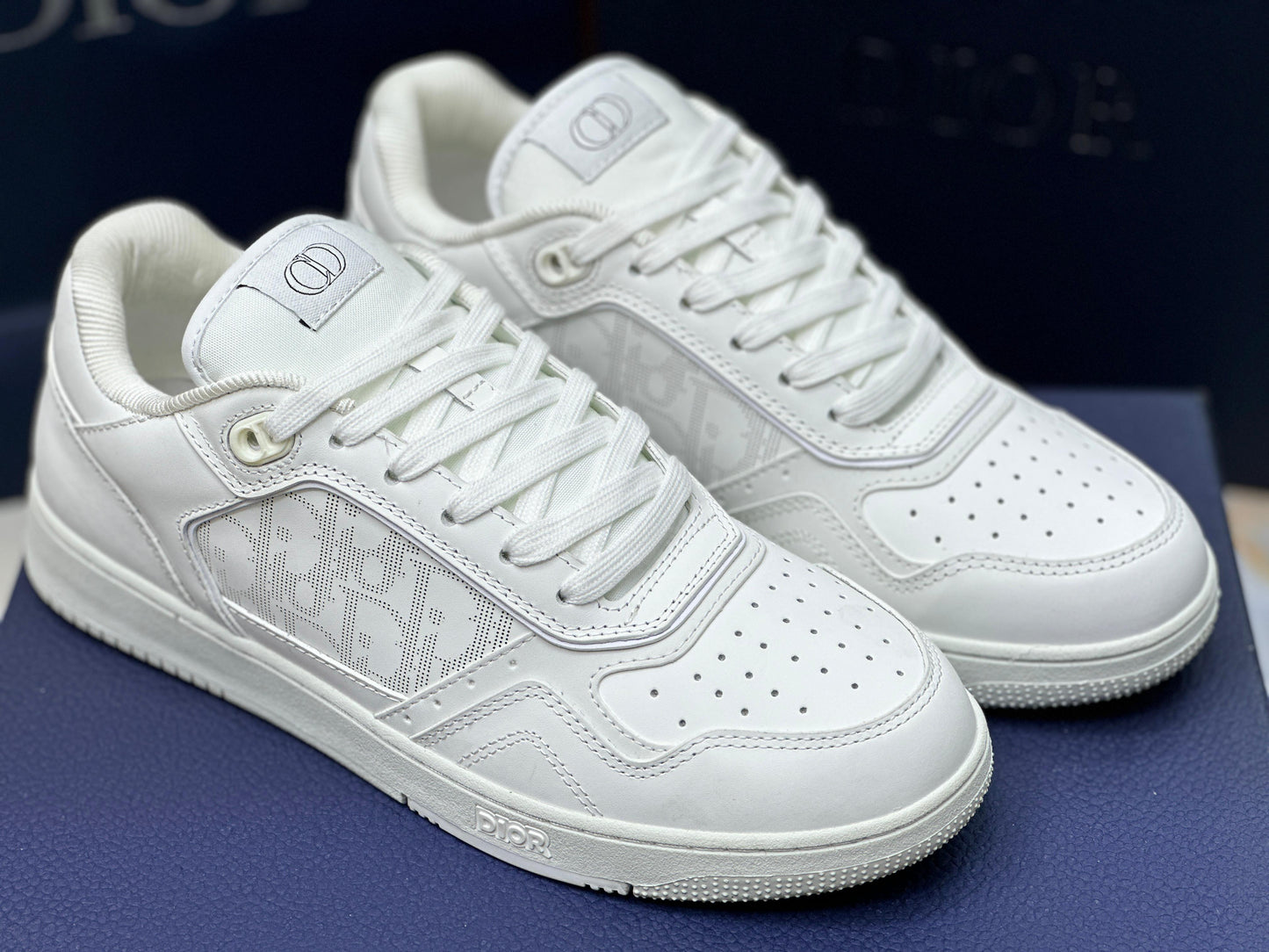 DIOR B27 Shoes