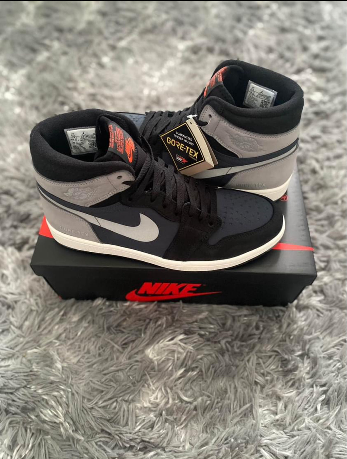 Jordan 1 high “Element”Gore-Tex