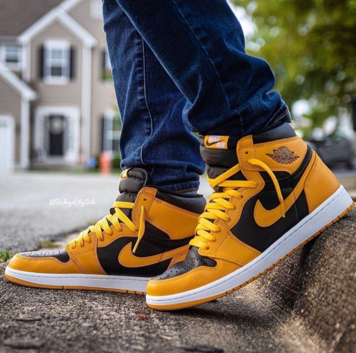 Jordan 1 High Pollen