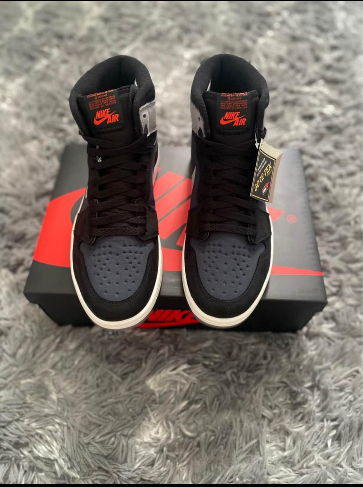 Jordan 1 high “Element”Gore-Tex